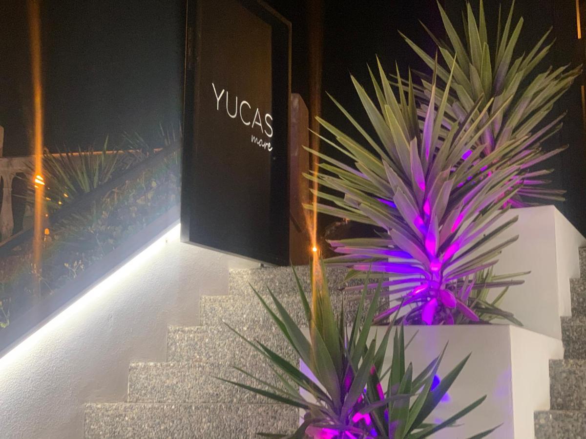 B&B Villa Michieli マルベーリャ エクステリア 写真