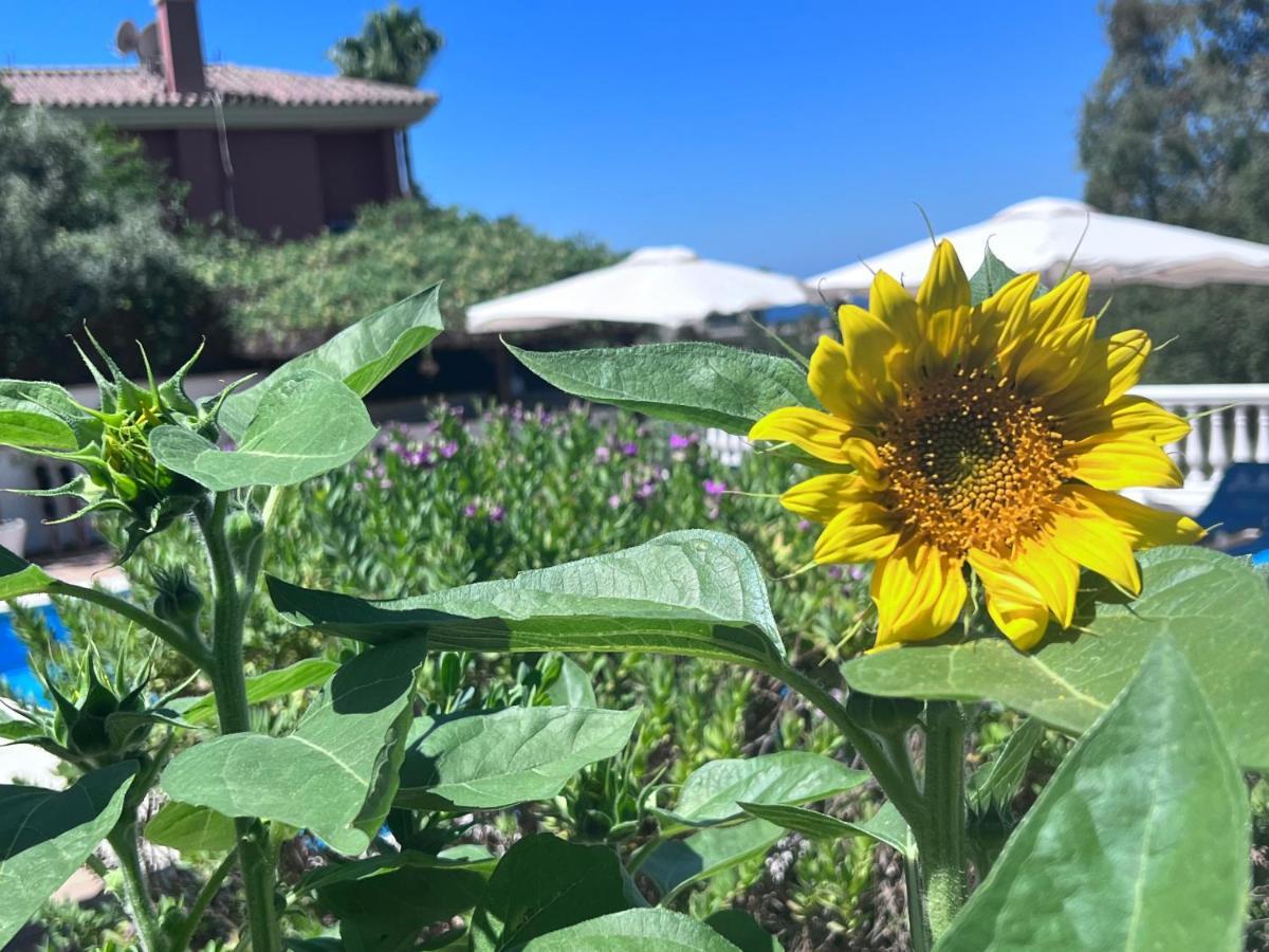 B&B Villa Michieli マルベーリャ エクステリア 写真